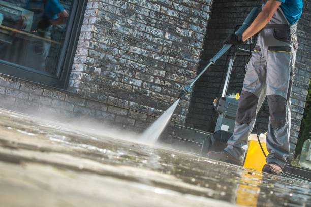 Best Animal Enclosure Cleaning  in Bogota, NJ